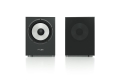 Pearl_Subwoofer_Czarny_Jesion_Pylon_Audio_3a_Web.jpg