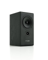Opal_Monitor_Czarny_Jesion_pylon_audio_1_Web.jpg